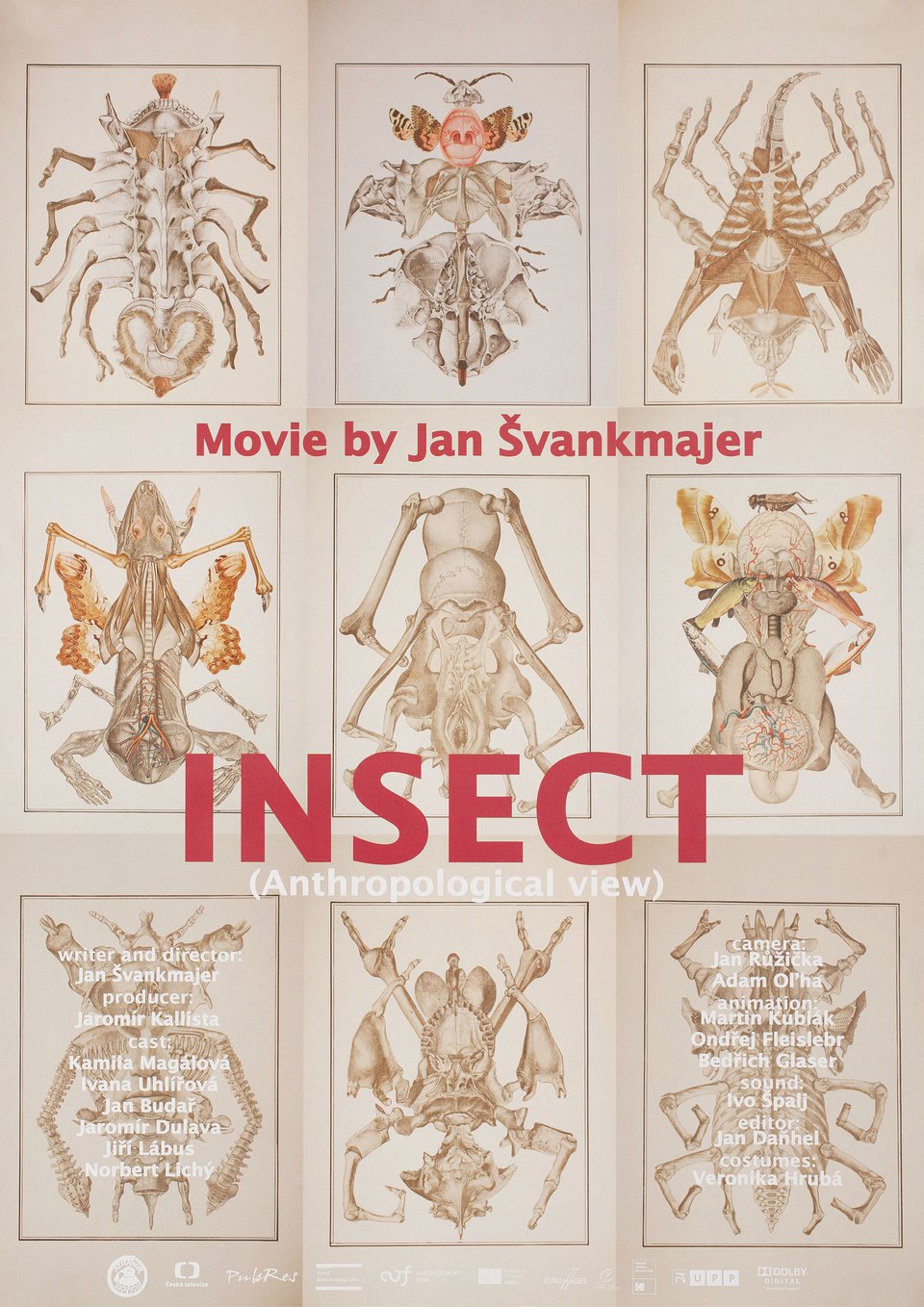Insect Original 2018 Czech A1 Movie Poster