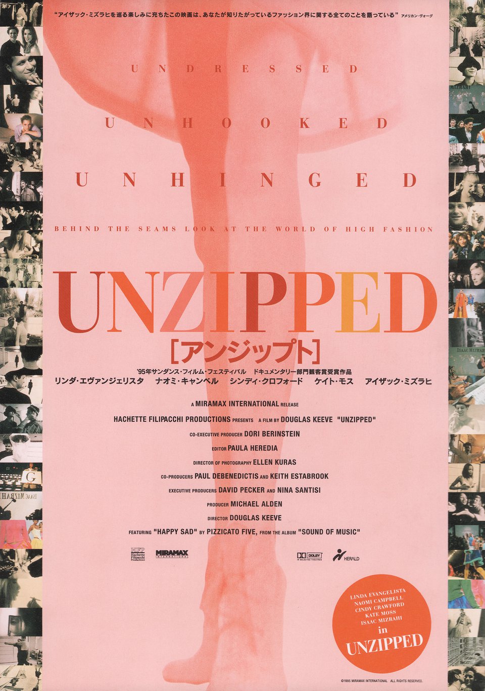 Unzipped 1995 Japanese B5 Chirashi Handbill