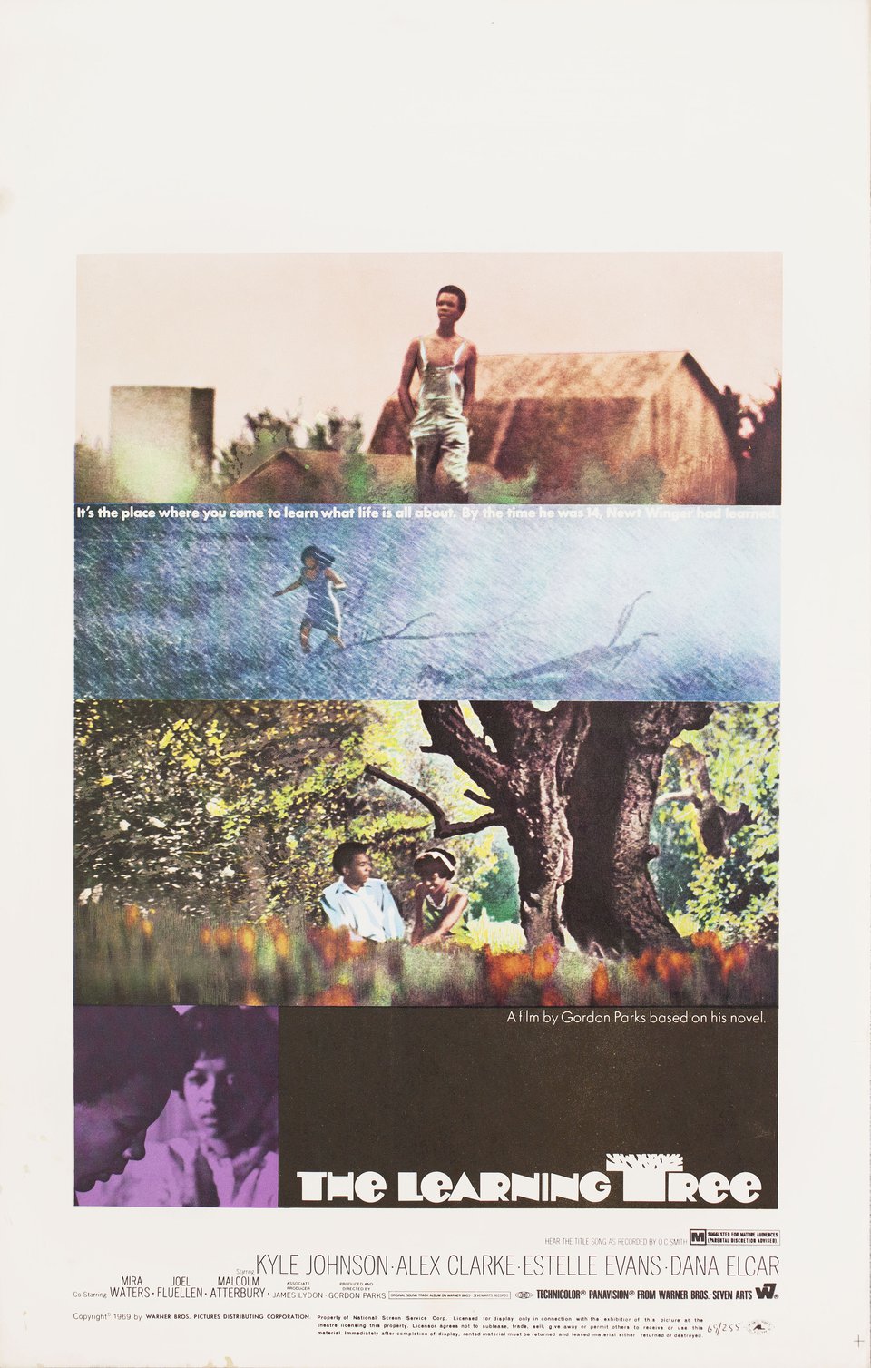 The Learning Tree Original 1969 U.S. Window Card Movie Poster