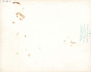 A Bigger Splash Original 1973 Belgian Color Photo Alternate Image