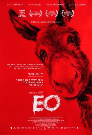 EO Original 2022 U.S. One Sheet Movie Poster