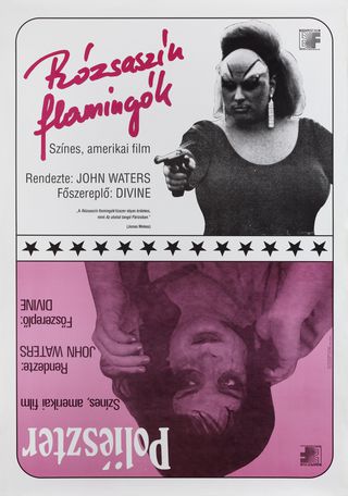 Pink Flamingos/ Female Trouble 北米版 Pink Flamingos/ Female Trouble 北米版