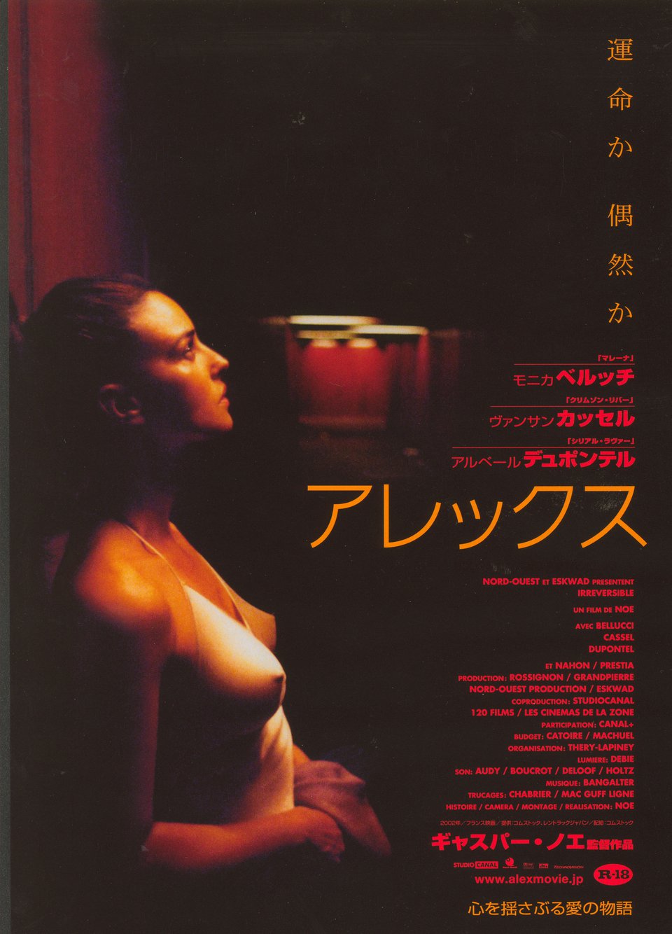 Irreversible Original R2020 Japanese B5 Chirashi Handbill