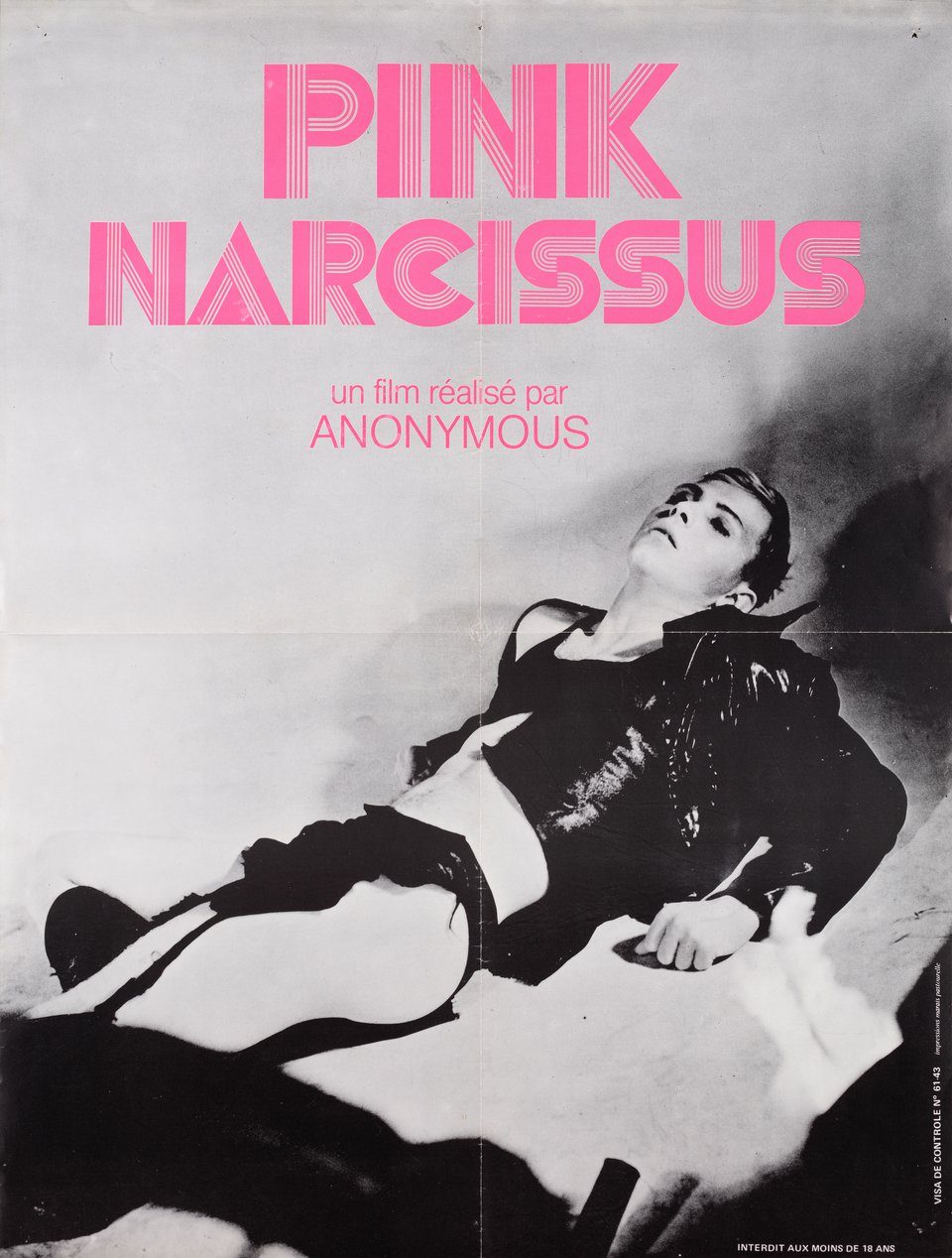 Pink Narcissus Original 1971 French Petite Movie Poster