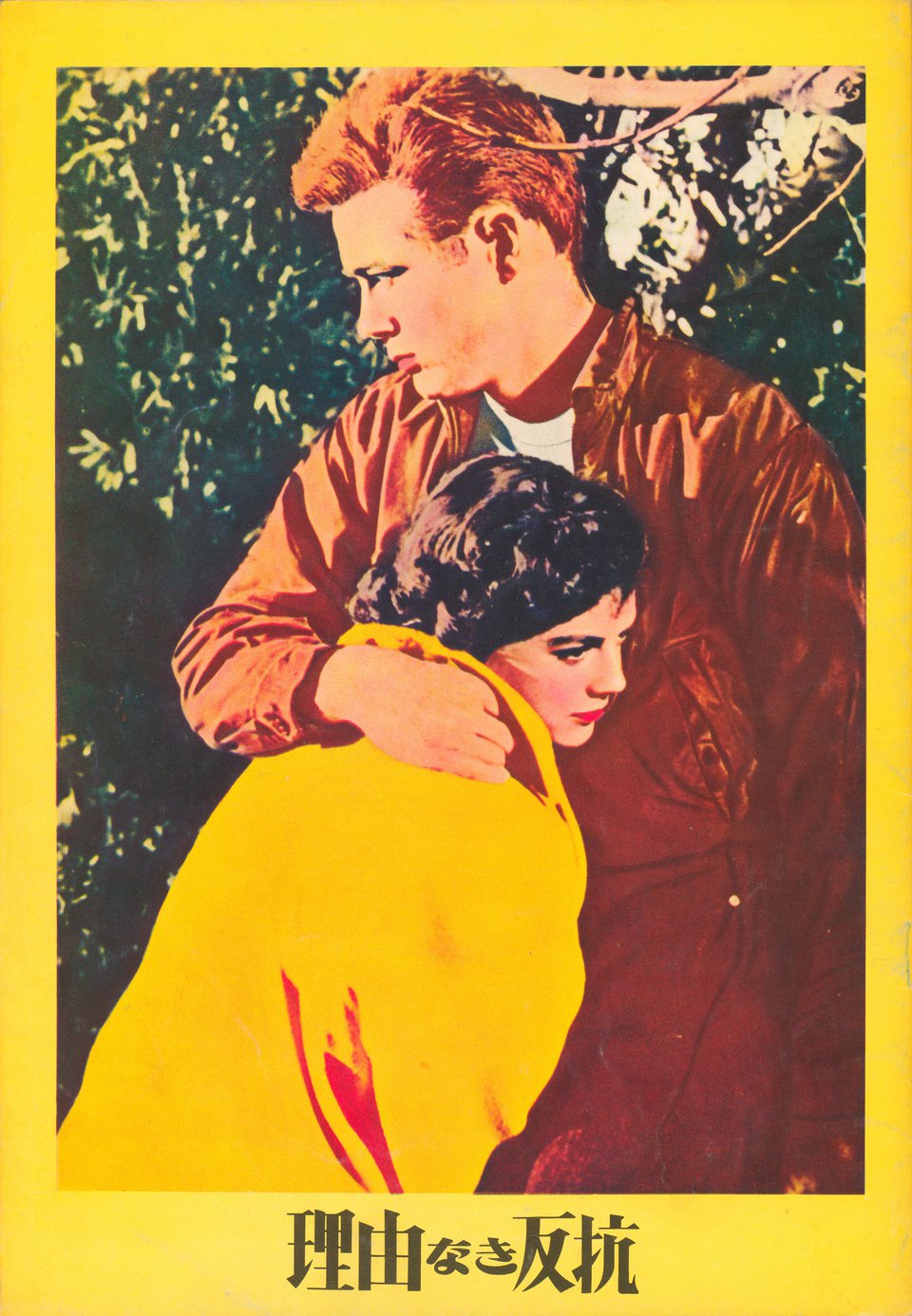 Rebel Without a Cause Original 1956 Japanese Movie Program
