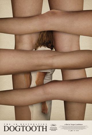 Dogtooth Original R2025 U.S. One Sheet Movie Poster