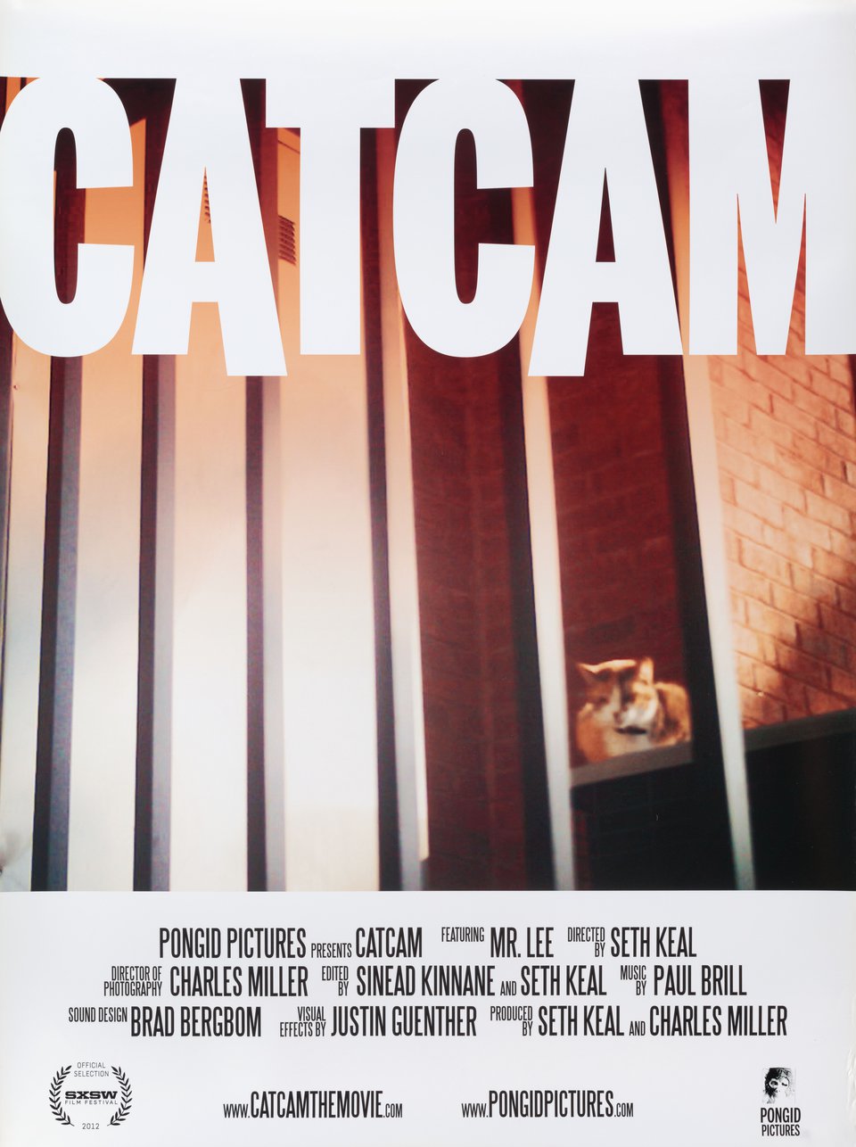 CatCam Original 2012 U.S. Movie Poster