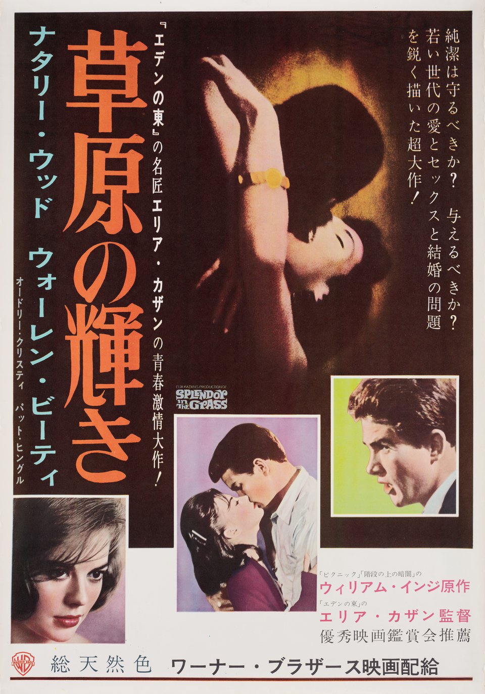Splendor in the Grass Original 1961 Japanese B2 Movie Poster