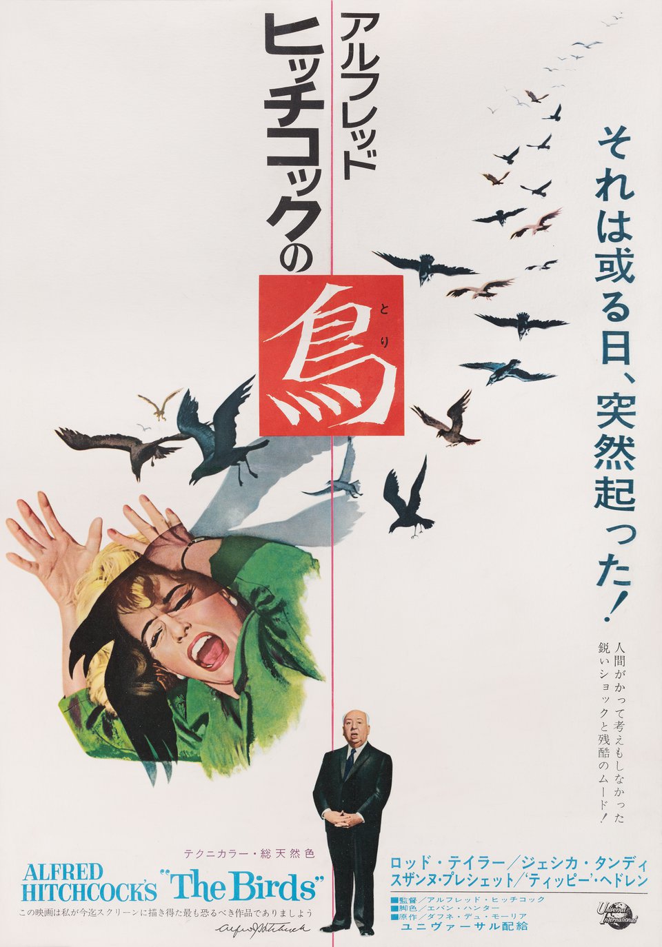 The Birds Original 1963 Japanese B2 Movie Poster
