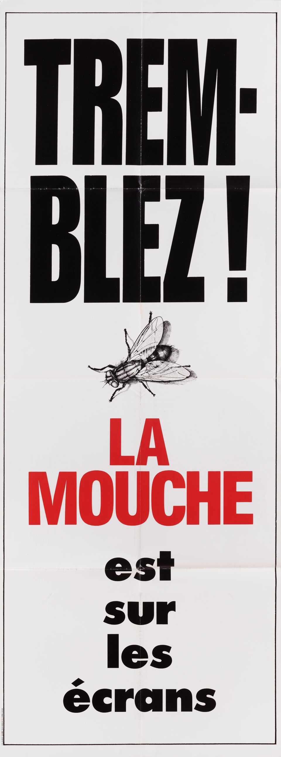 The Fly Original 1987 French Pantalon Movie Poster