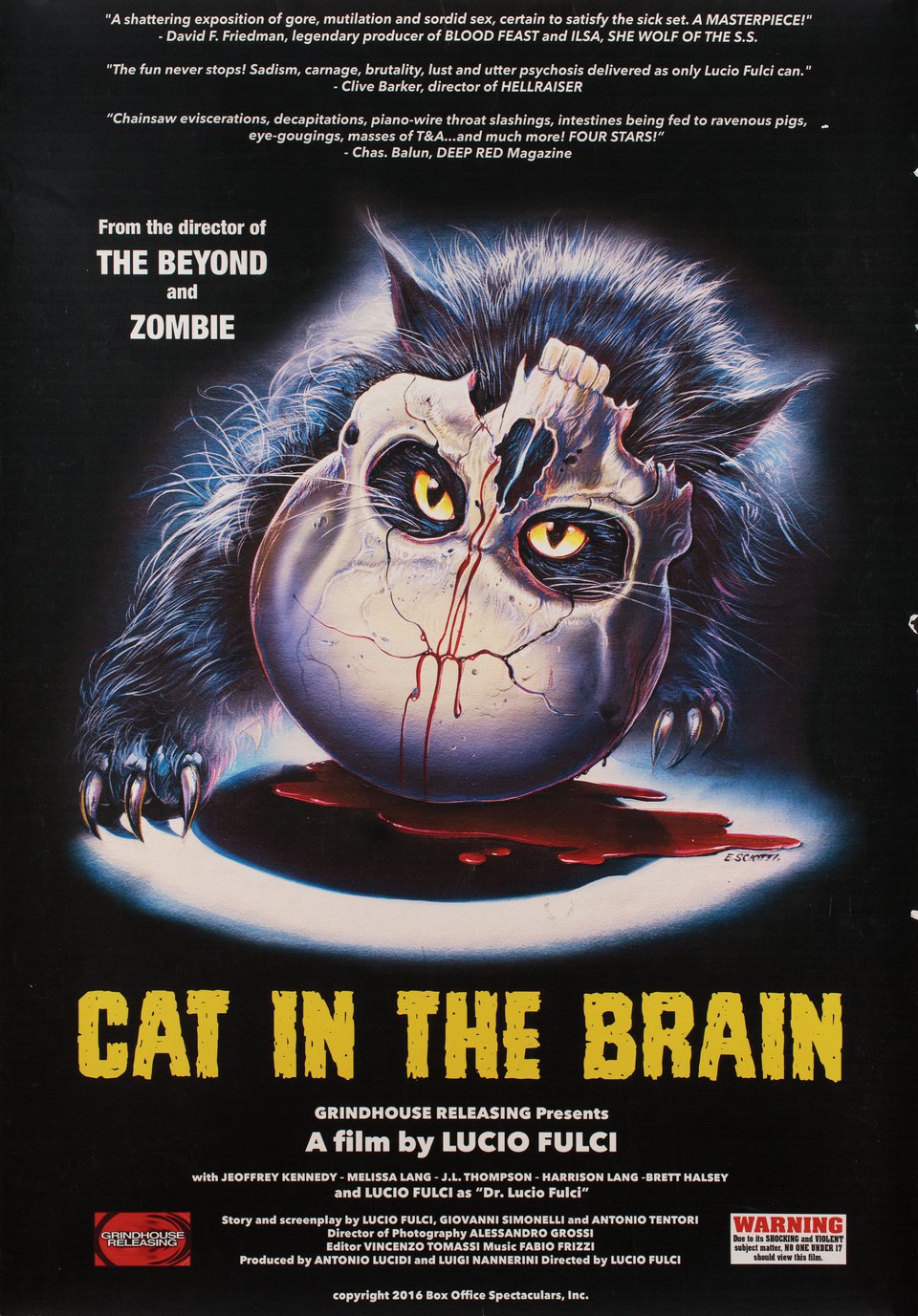 A Cat in the Brain Original 2016 U.S. One Sheet Movie Poster