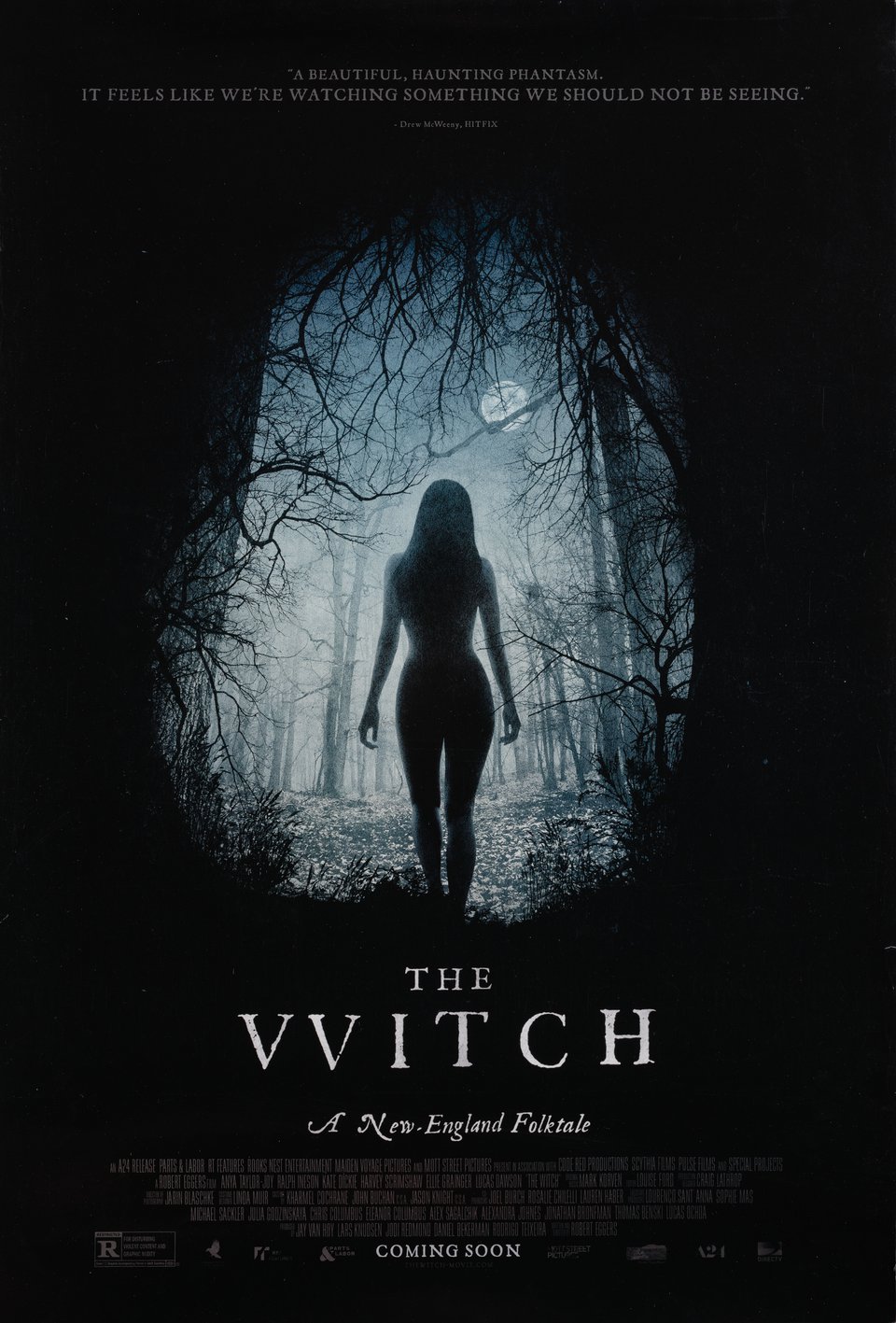 The Witch Original 2015 U.S. One Sheet Movie Poster