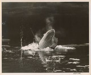 Titanic Original 1953 U.S. Keybook Photo Set of 15 Alternate Image