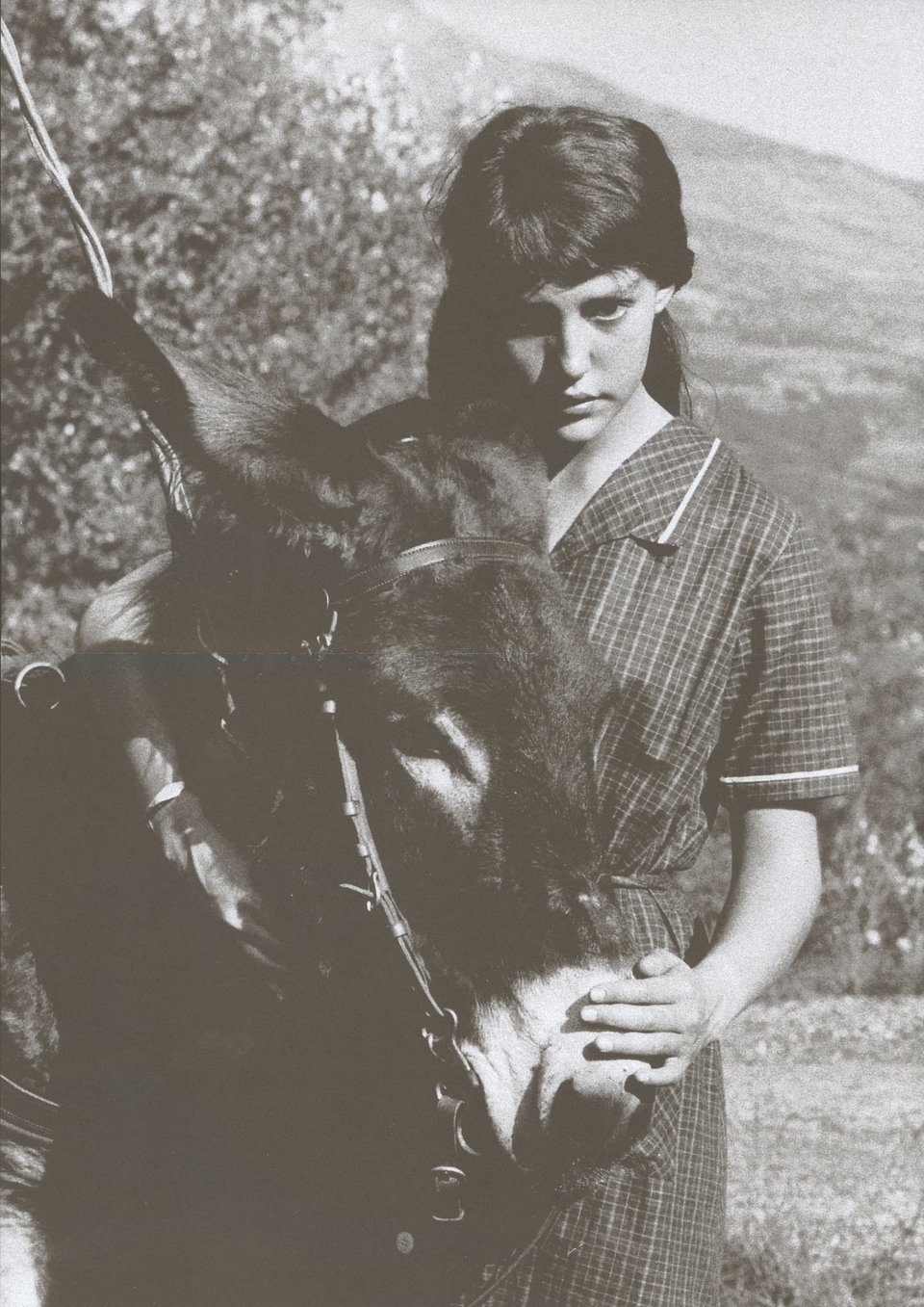 Au Hasard Balthazar / Mouchette Original R2020s Japanese Movie Program