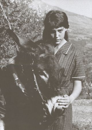 Au Hasard Balthazar / Mouchette Original R2020s Japanese Movie Program Alternate Image