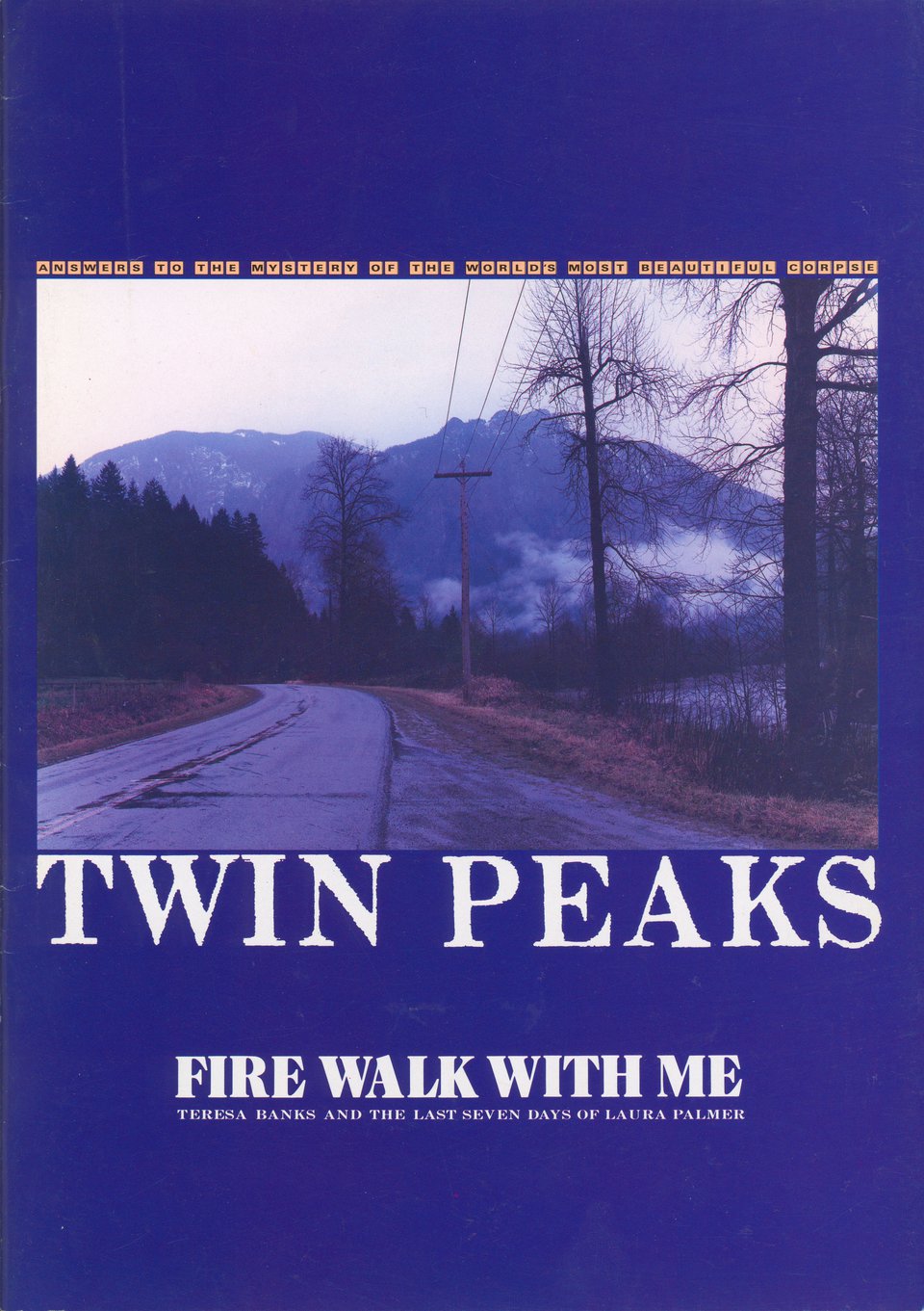 Twin Peaks: Fire Walk with Me Original 1992 Japanese Movie Program