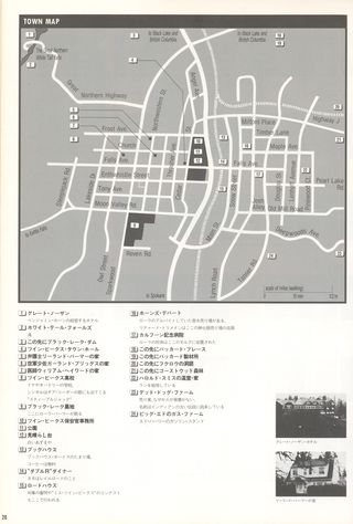 Twin Peaks Original 1990 Japanese Program Alternate Image