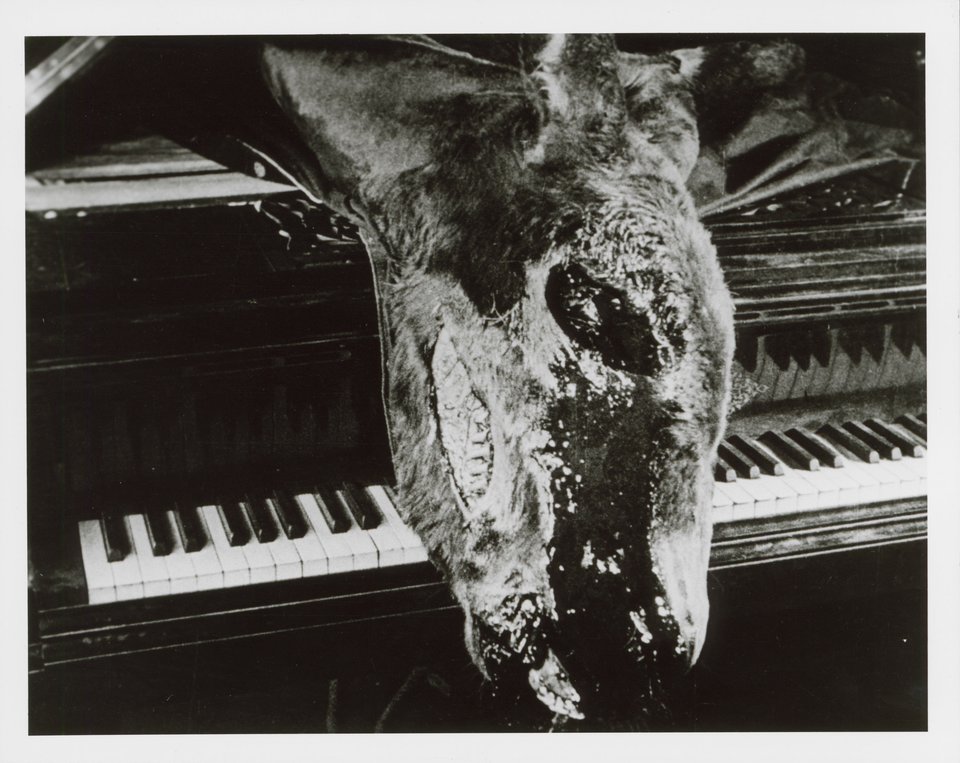 Un Chien Andalou Original R1960s French Silver Gelatin Single-Weight Photo