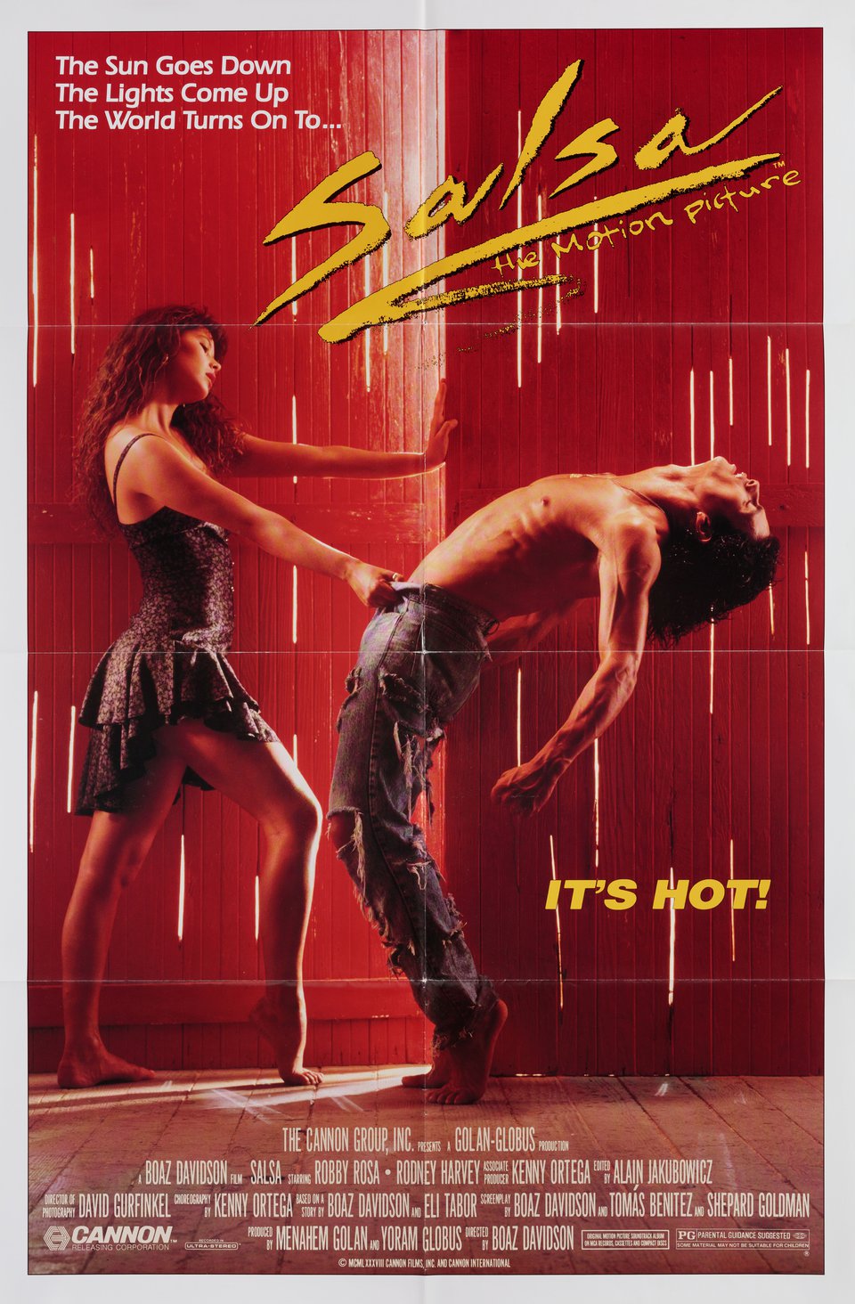 Salsa Original 1988 U.S. One Sheet Movie Poster