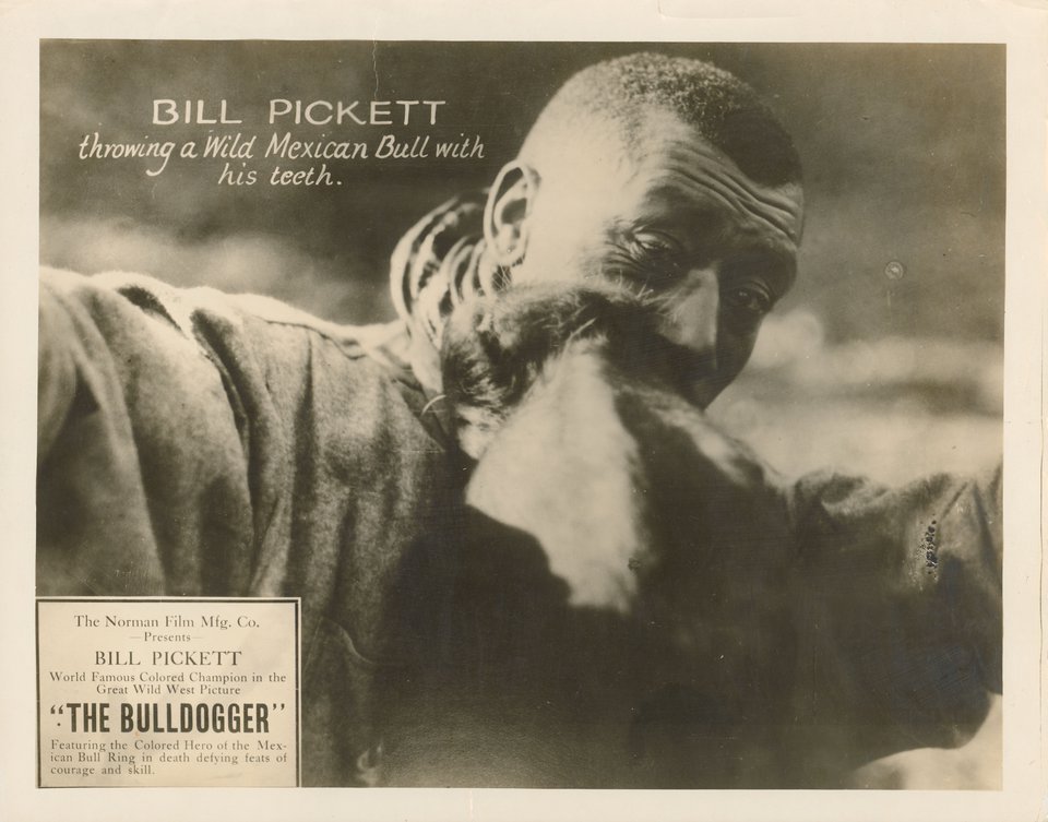 The Bull-Dogger Original 1921 U.S. Scene Card