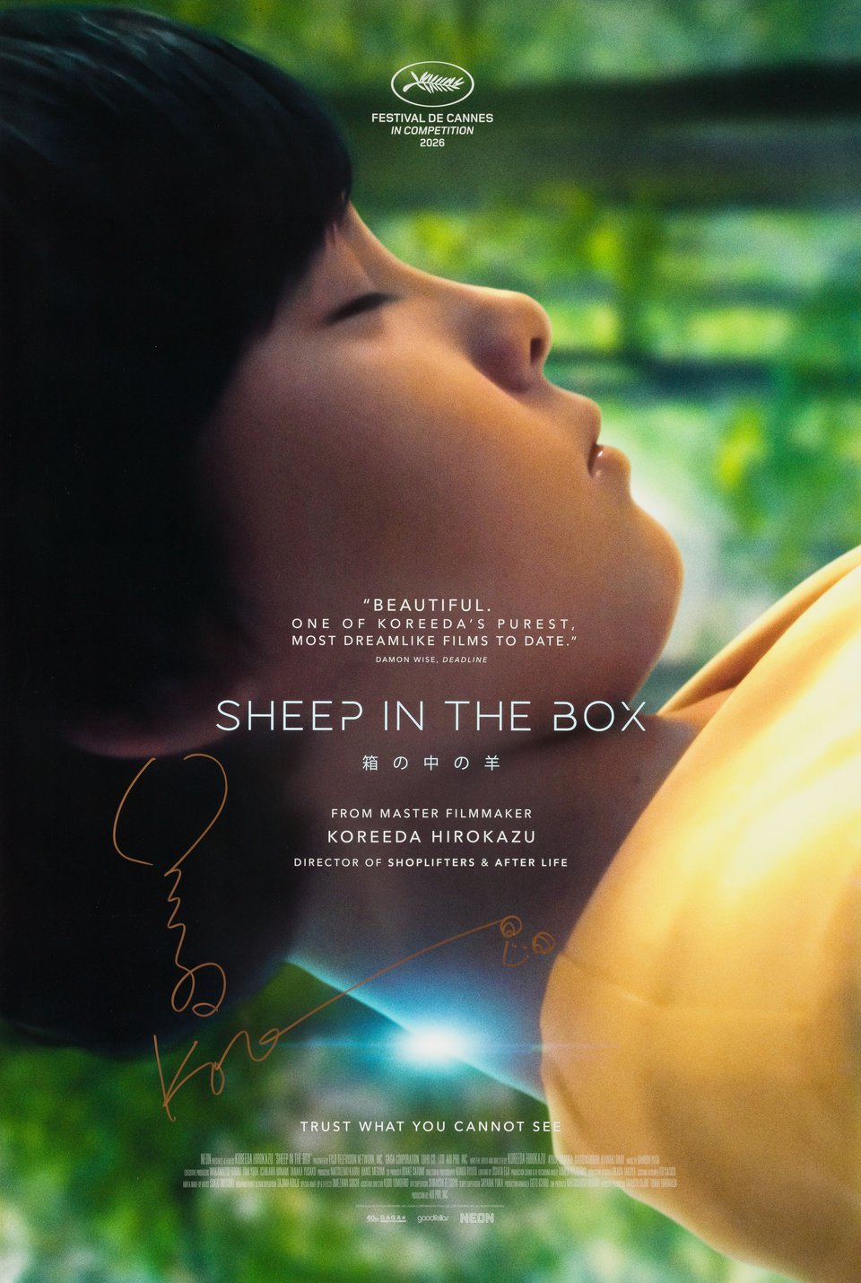 Sheep in the Box